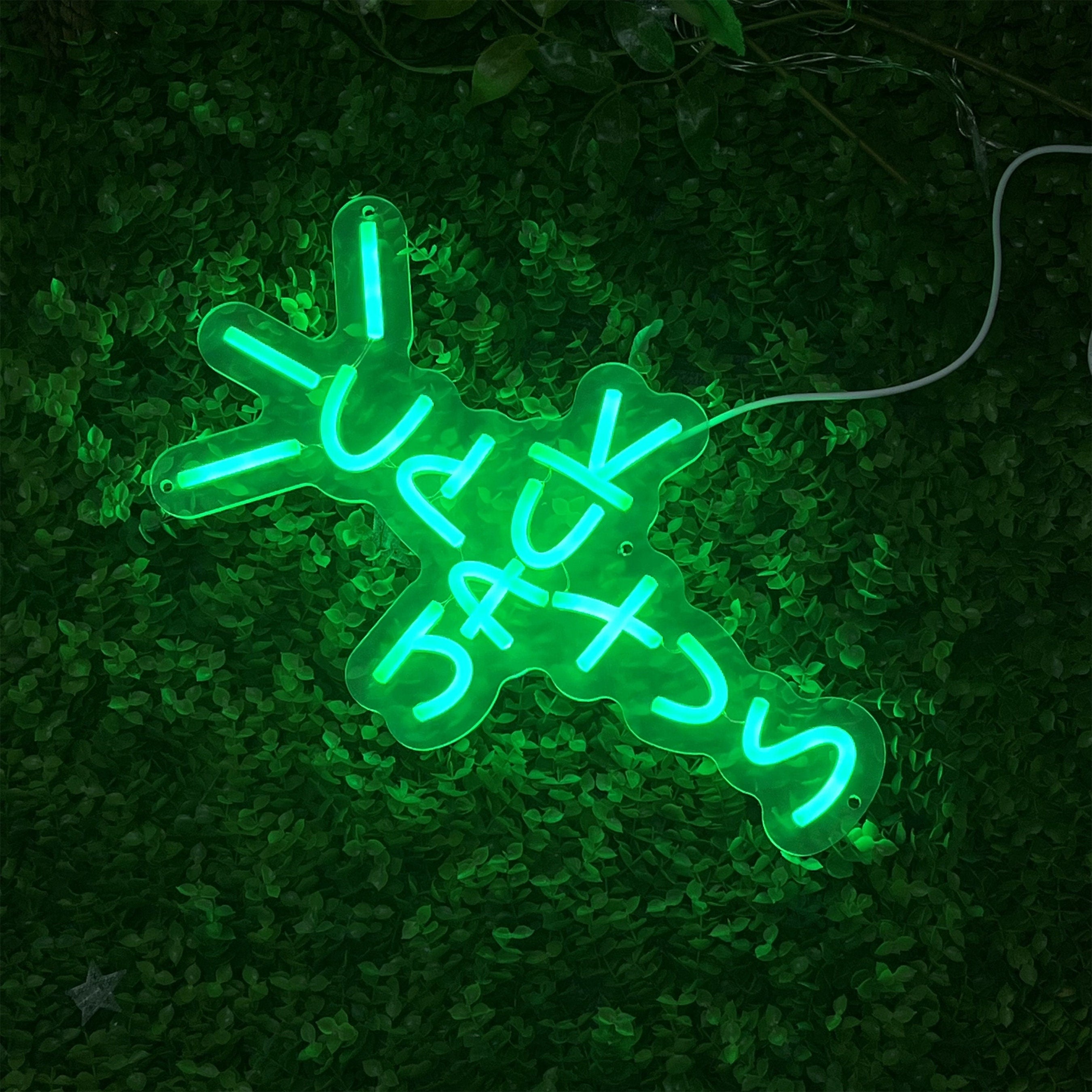 Cactus Neon Sign: LED Light for Bedroom Decor